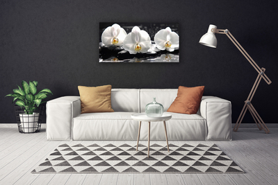 Quadro em tela Flor de orquídea branca