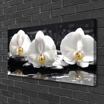 Quadro em tela Flor de orquídea branca