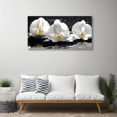 Quadro em tela Flor de orquídea branca