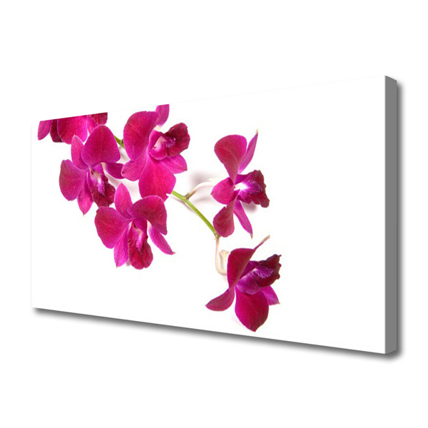 Quadro canvas Flores Planta Natureza