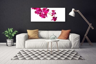Quadro canvas Flores Planta Natureza