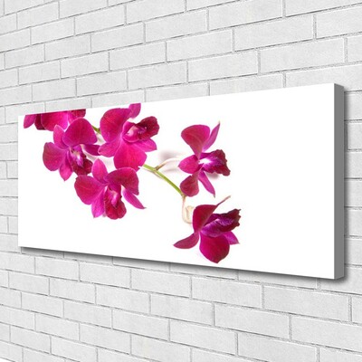 Quadro canvas Flores Planta Natureza