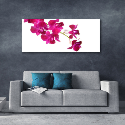 Quadro canvas Flores Planta Natureza