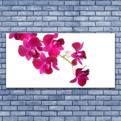 Quadro canvas Flores Planta Natureza