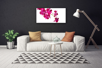 Quadro canvas Flores Planta Natureza