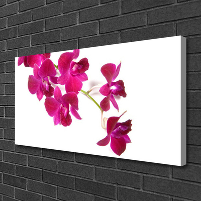 Quadro canvas Flores Planta Natureza