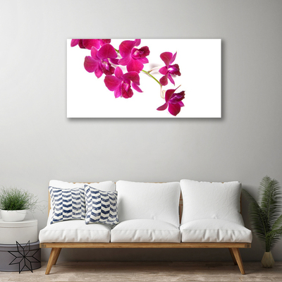 Quadro canvas Flores Planta Natureza