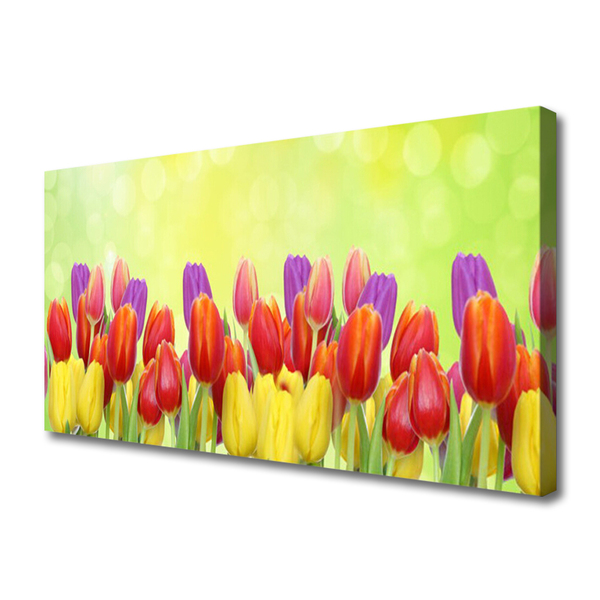 Quadro em tela Tulipas Flores Planta