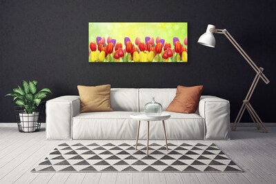 Quadro em tela Tulipas Flores Planta