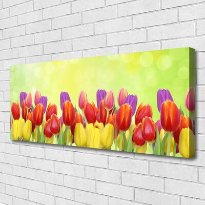Quadro em tela Tulipas Flores Planta