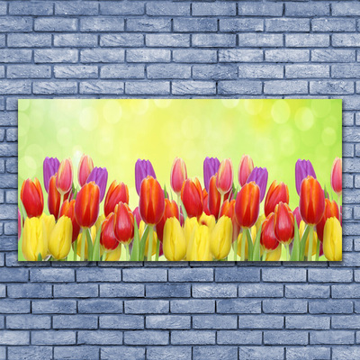Quadro em tela Tulipas Flores Planta
