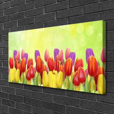 Quadro em tela Tulipas Flores Planta
