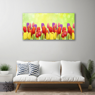 Quadro em tela Tulipas Flores Planta