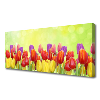 Quadro em tela Tulipas Flores Planta
