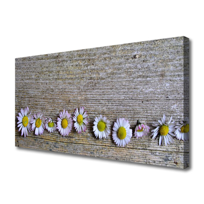 Quadro canvas Natureza da planta margarida