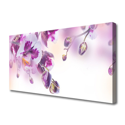 Quadro canvas Flores Planta Natureza