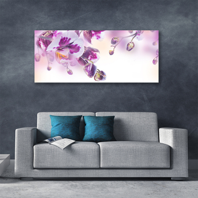 Quadro canvas Flores Planta Natureza