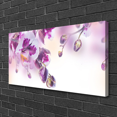 Quadro canvas Flores Planta Natureza