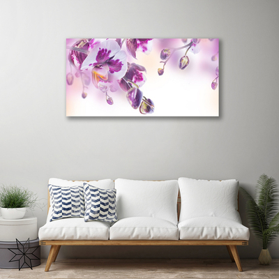 Quadro canvas Flores Planta Natureza