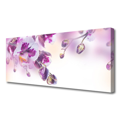 Quadro canvas Flores Planta Natureza