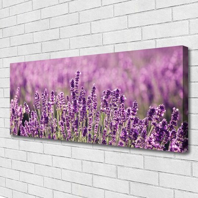Quadro em tela Flores Planta Natureza