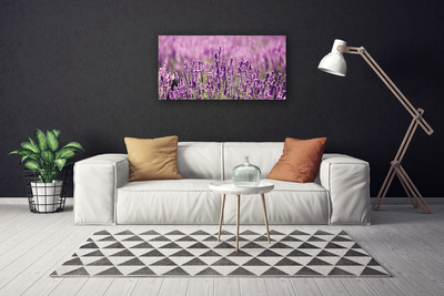 Quadro em tela Flores Planta Natureza