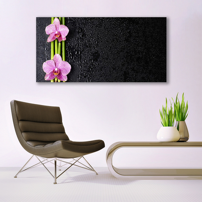 Quadro canvas Planta de flor de bambu Natureza