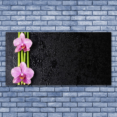 Quadro canvas Planta de flor de bambu Natureza