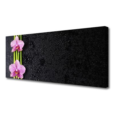 Quadro canvas Planta de flor de bambu Natureza