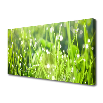 Quadro canvas Natureza da planta grama