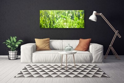 Quadro canvas Natureza da planta grama