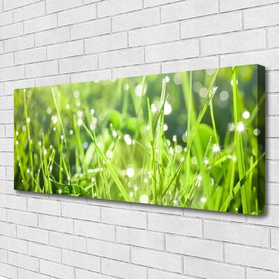 Quadro canvas Natureza da planta grama
