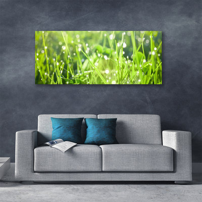 Quadro canvas Natureza da planta grama