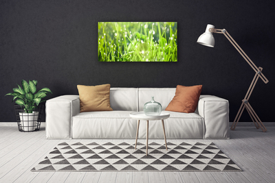 Quadro canvas Natureza da planta grama