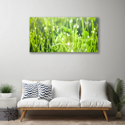 Quadro canvas Natureza da planta grama
