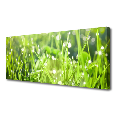 Quadro canvas Natureza da planta grama