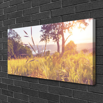 Quadro canvas Prado Grama Árvore Natureza