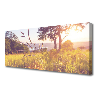 Quadro canvas Prado Grama Árvore Natureza