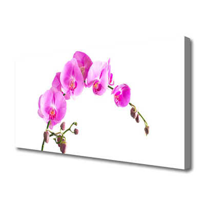 Quadro canvas Flores Planta Natureza