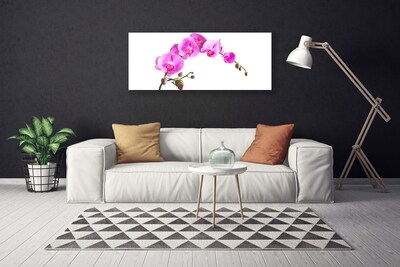 Quadro canvas Flores Planta Natureza