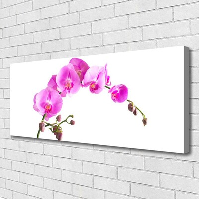 Quadro canvas Flores Planta Natureza