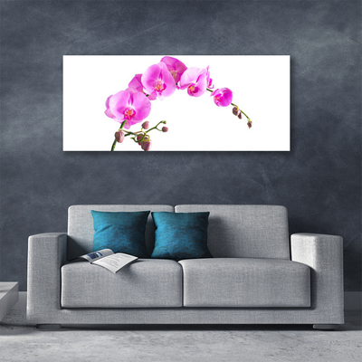 Quadro canvas Flores Planta Natureza