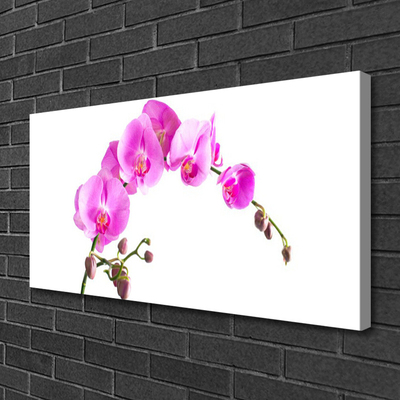 Quadro canvas Flores Planta Natureza