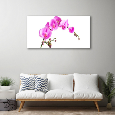 Quadro canvas Flores Planta Natureza