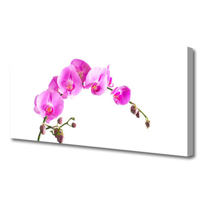 Quadro canvas Flores Planta Natureza