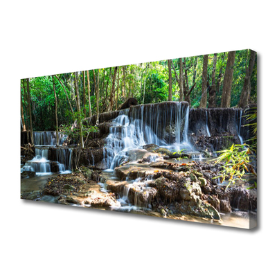 Quadro canvas Cachoeira Floresta Natureza