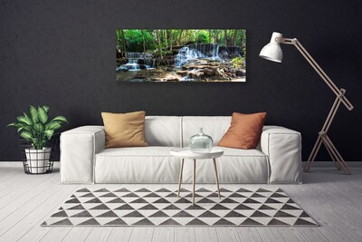Quadro canvas Cachoeira Floresta Natureza
