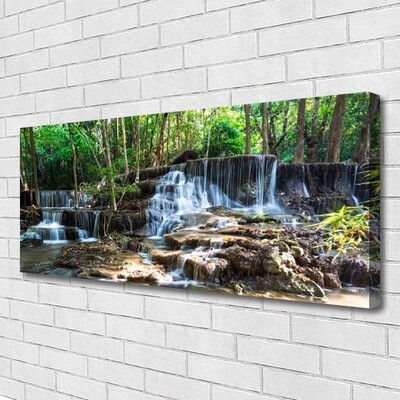 Quadro canvas Cachoeira Floresta Natureza