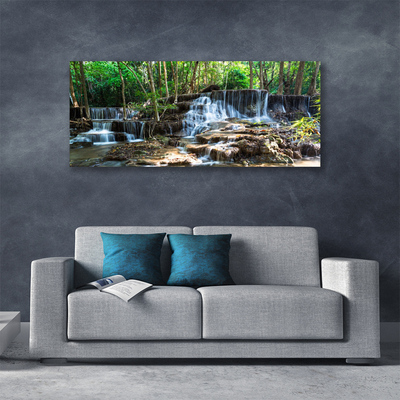 Quadro canvas Cachoeira Floresta Natureza