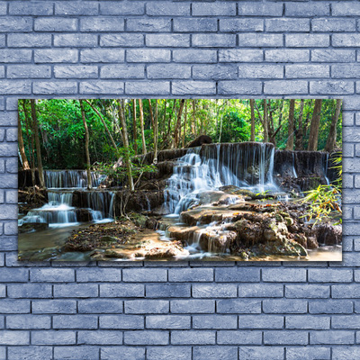 Quadro canvas Cachoeira Floresta Natureza